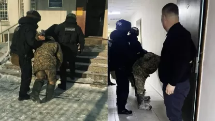 Полиция үш күнде 100-ден астам мал ұрлығының жолын кесті