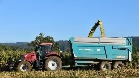 Казахстан расширяет производство продукции глубокой переработки зерна 