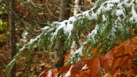 Казахстан накрыли ветер, туман и первые снегопады 