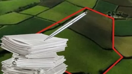 Самовольный захват земли выявили в области Абай  