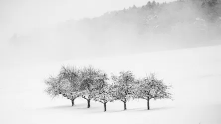 Туман и гололед накрыли регионы Казахстана 