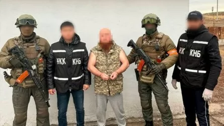 В Алматы и еще трех городах РК задержали подозреваемых в пропаганде терроризма 