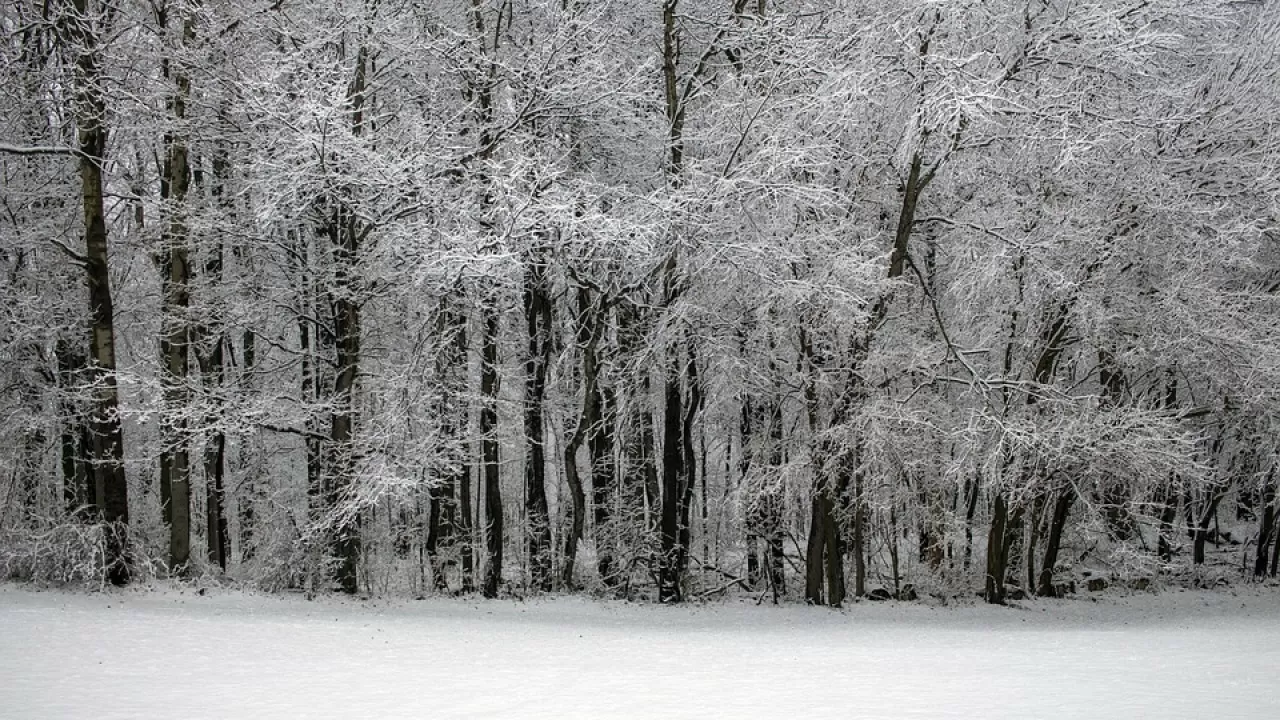Казахстан накрыли снегопады и метели 