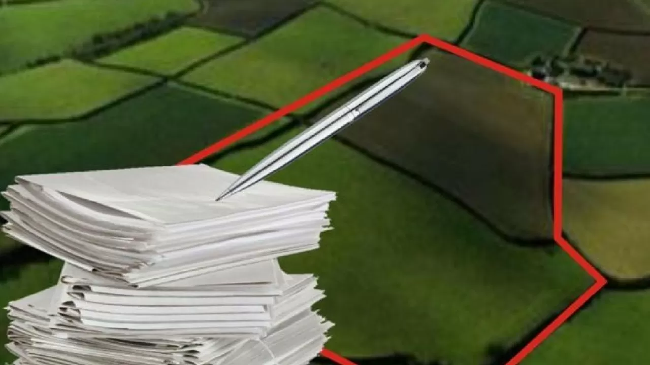 Самовольный захват земли выявили в области Абай  