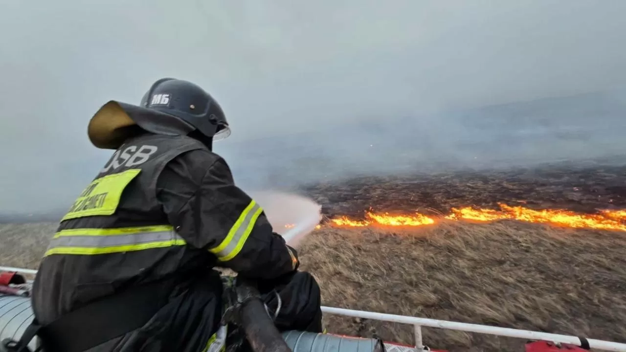Қостанайда орман өртінен зардап шеккен аумақтың 38%-ы тазартылды