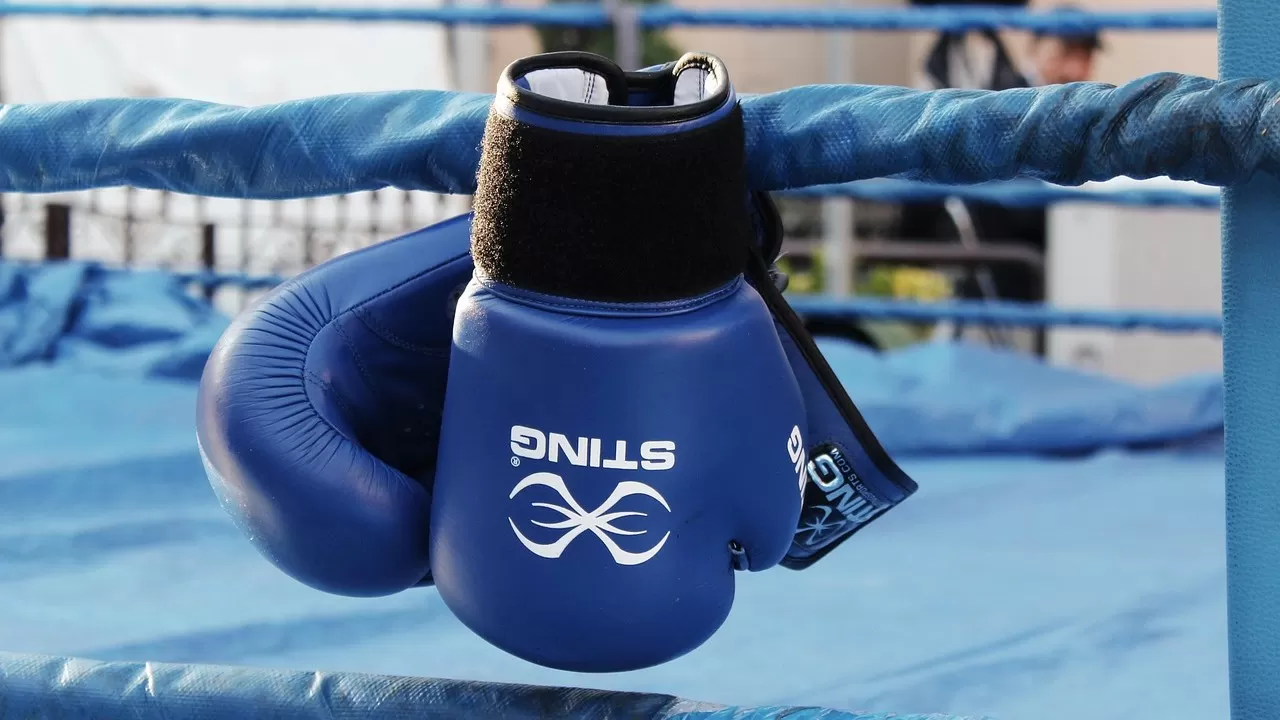 Шоумен Пол обещает нокаутировать экс-чемпиона мира Джошуа