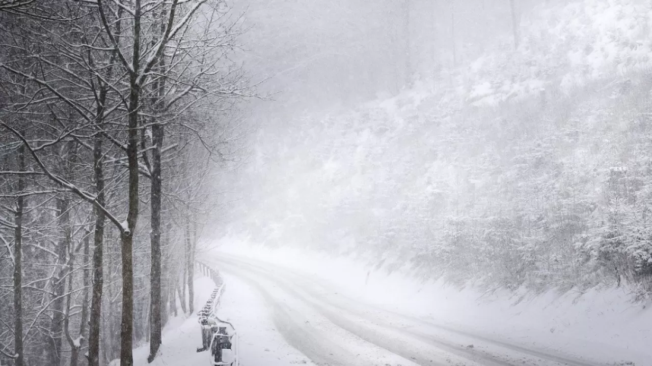 Тұман, көктайғақ: Еліміздің 14 өңірінде күн райы бұзылады