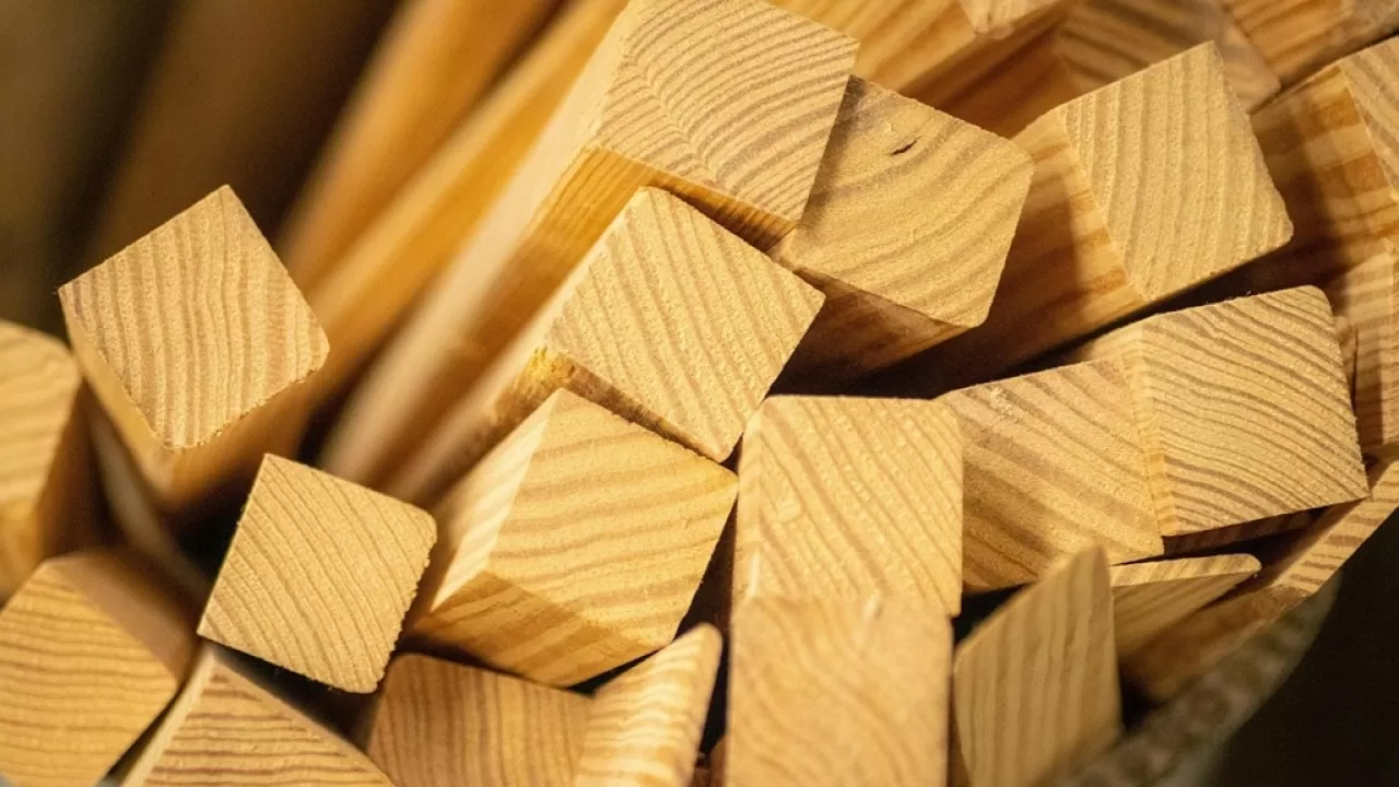 Кыргызстан запрещает экспорт древесины