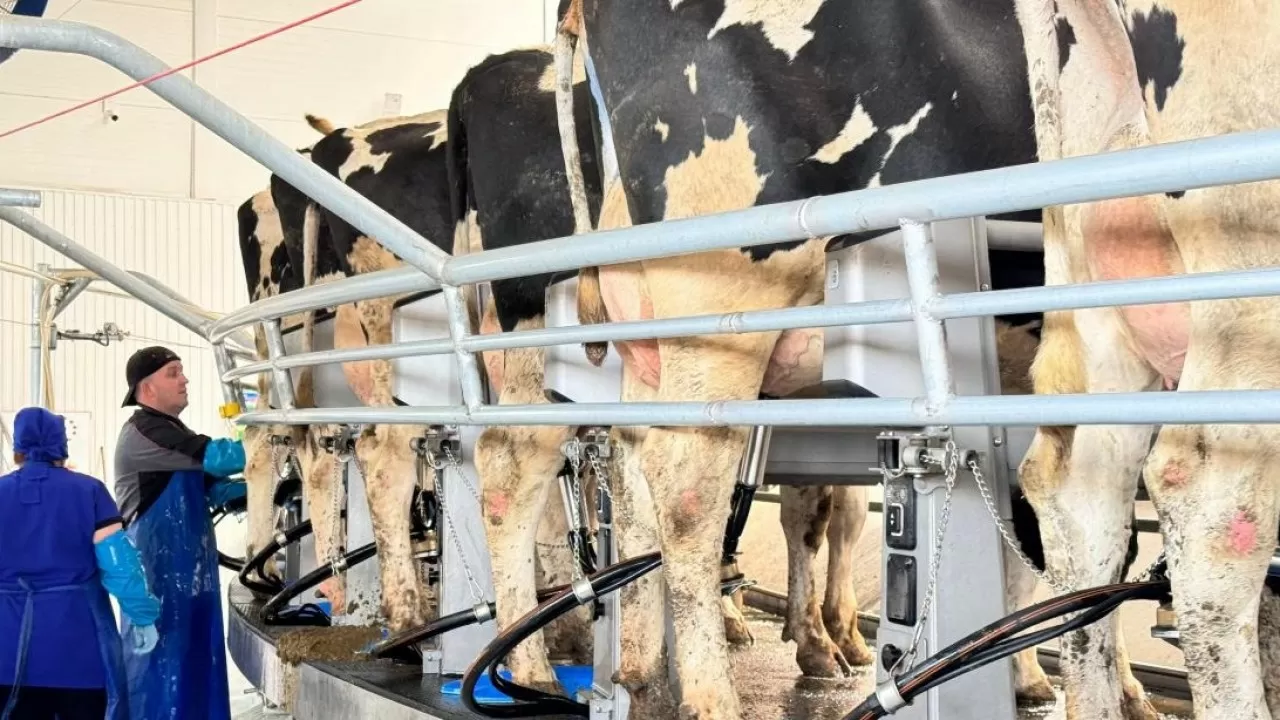 Как программа СКО меняет агропром Казахстана 