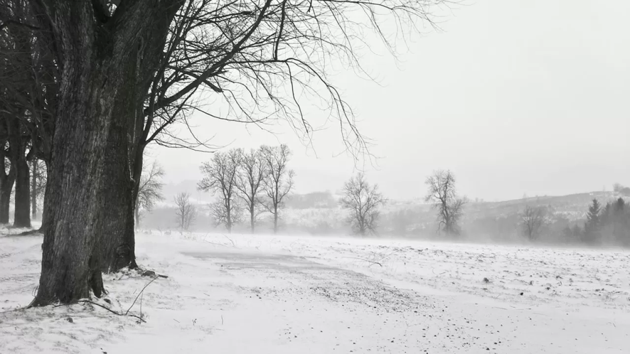 Сильная метель и снегопады: во всем Казахстане 13 декабря ухудшится погода 
