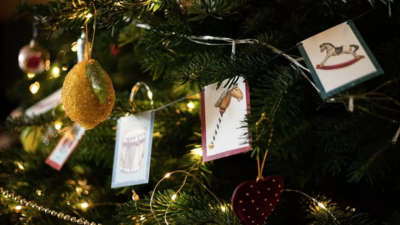 Назван простой способ сохранить новогоднюю елку 