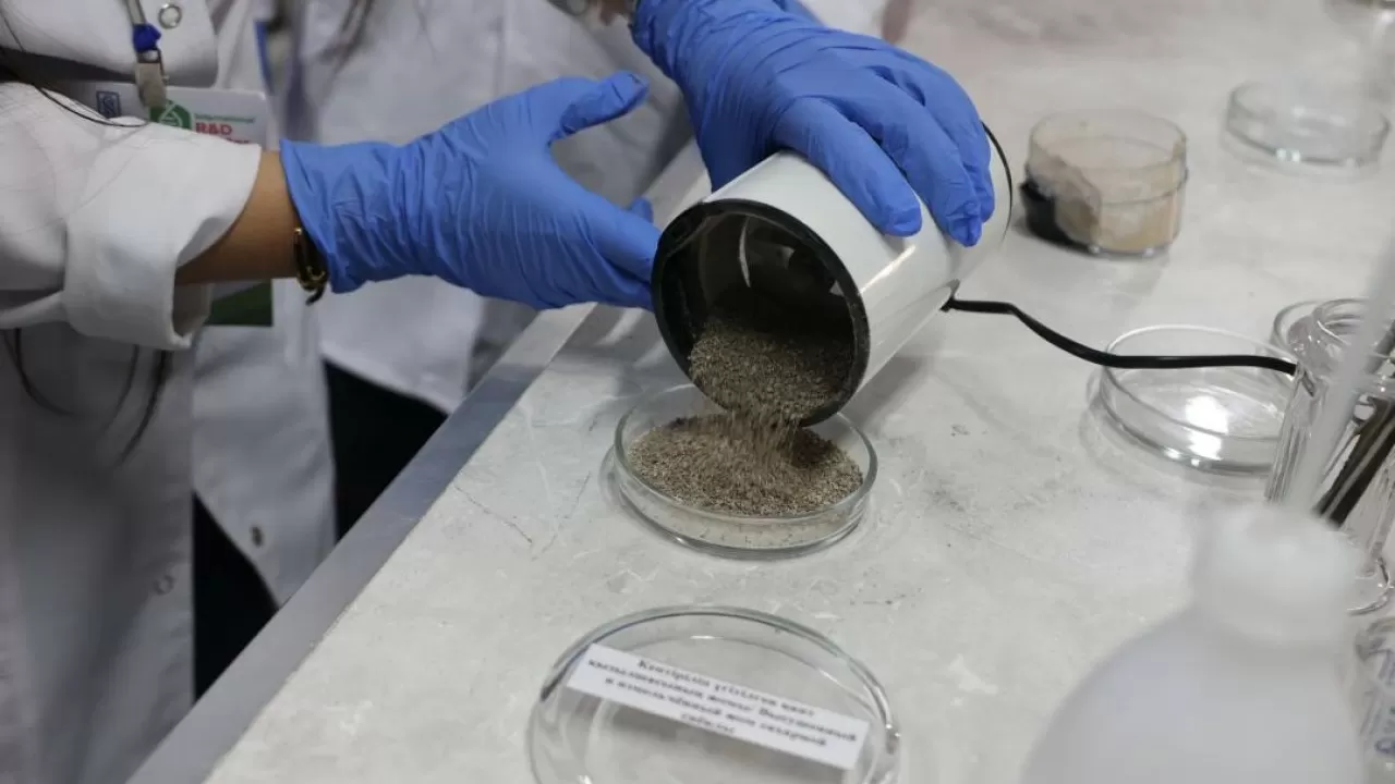 Сельхозотходы стали источником инновационных материалов в РК 