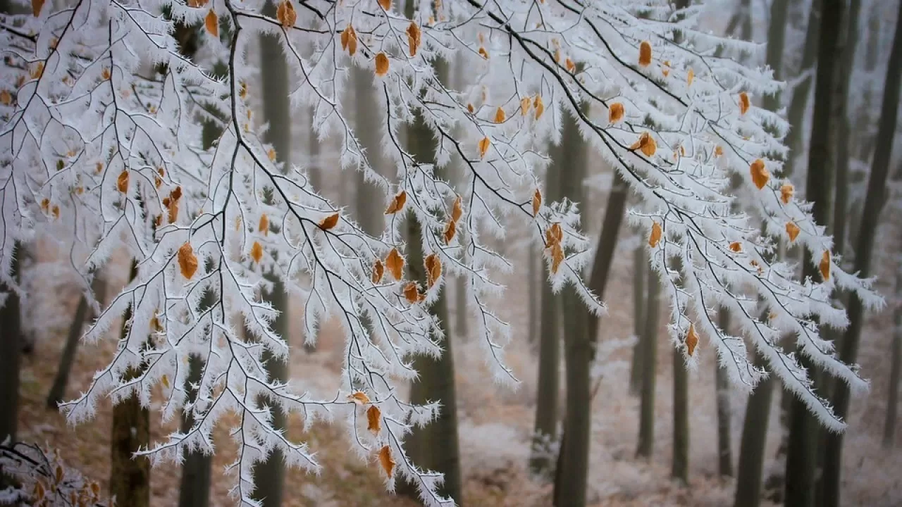 Морозы подступают к Казахстану
