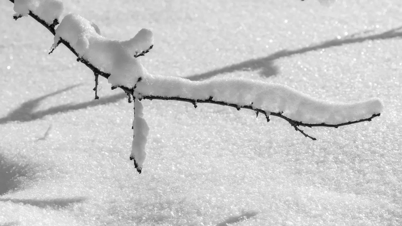 Январь в Казахстане будет теплее обычного, но с морозными волнами