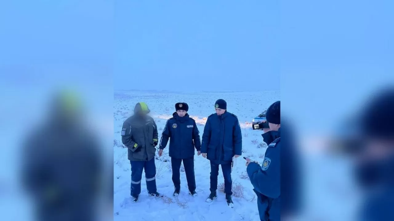 Қызылордада ұрылар малды сойып жатқан жерінен қолға түсті