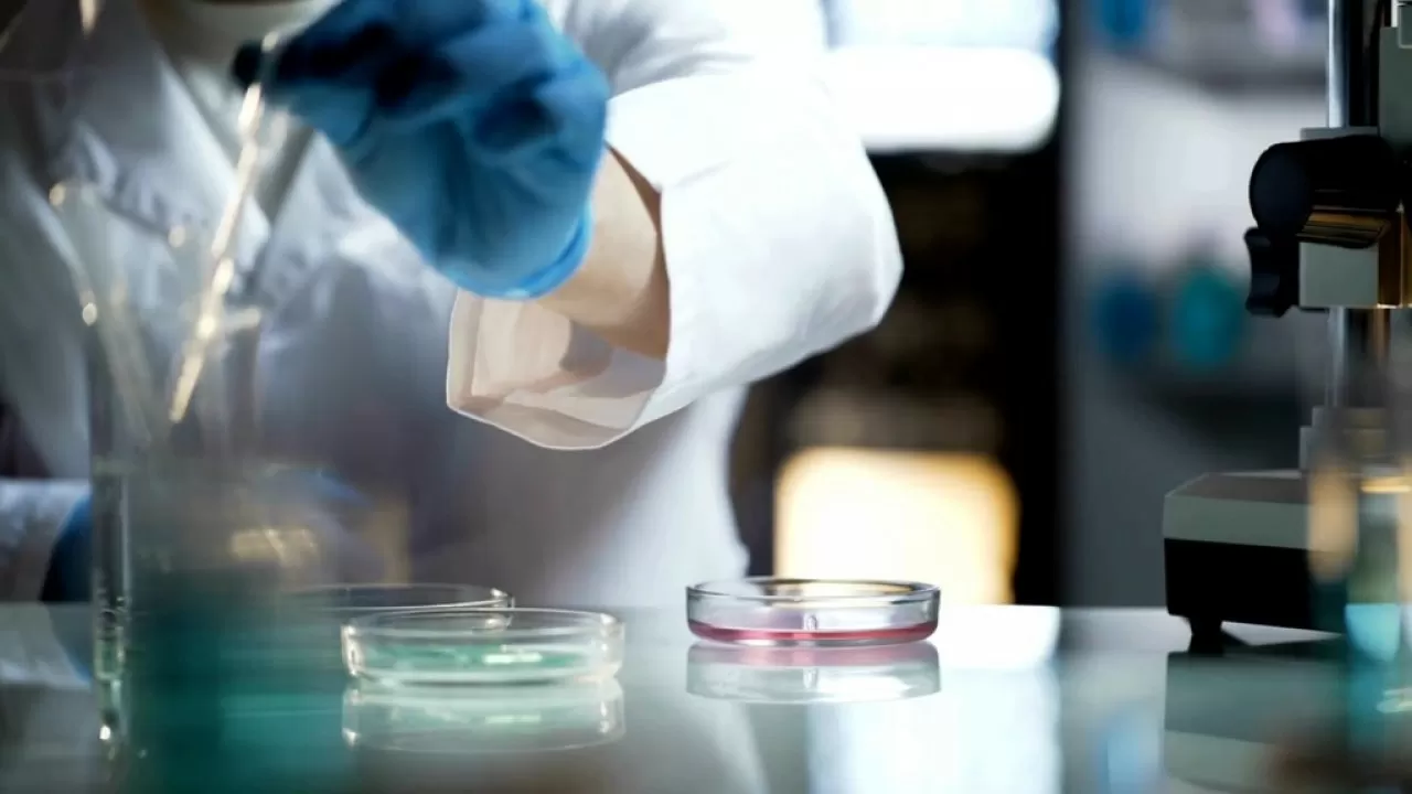 У 100-летних долгожителей выявили особые гены 