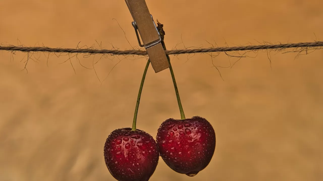 Как безопасно выбирать и мыть фрукты: советы экспертов 