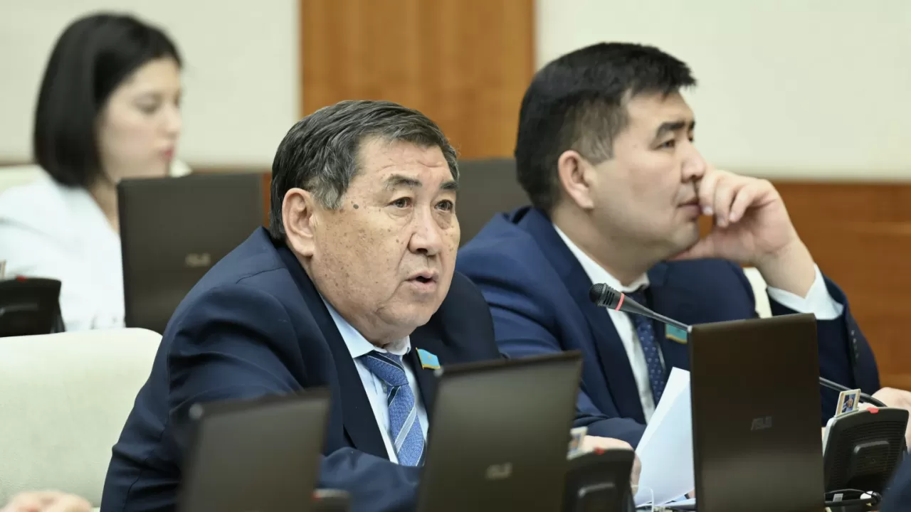 "Кит өлген Жаңа Зеландиядан сары май тасимыз": Депутат мәселе көтерді