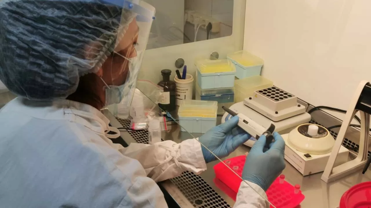 Эффективность лечения ВИЧ в Казахстане достигла рекордных показателей 