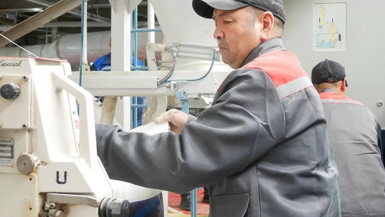 Маңғыстауда ауыл шаруашылығы өнімінің көлемі 38 млрд теңгеге жетті