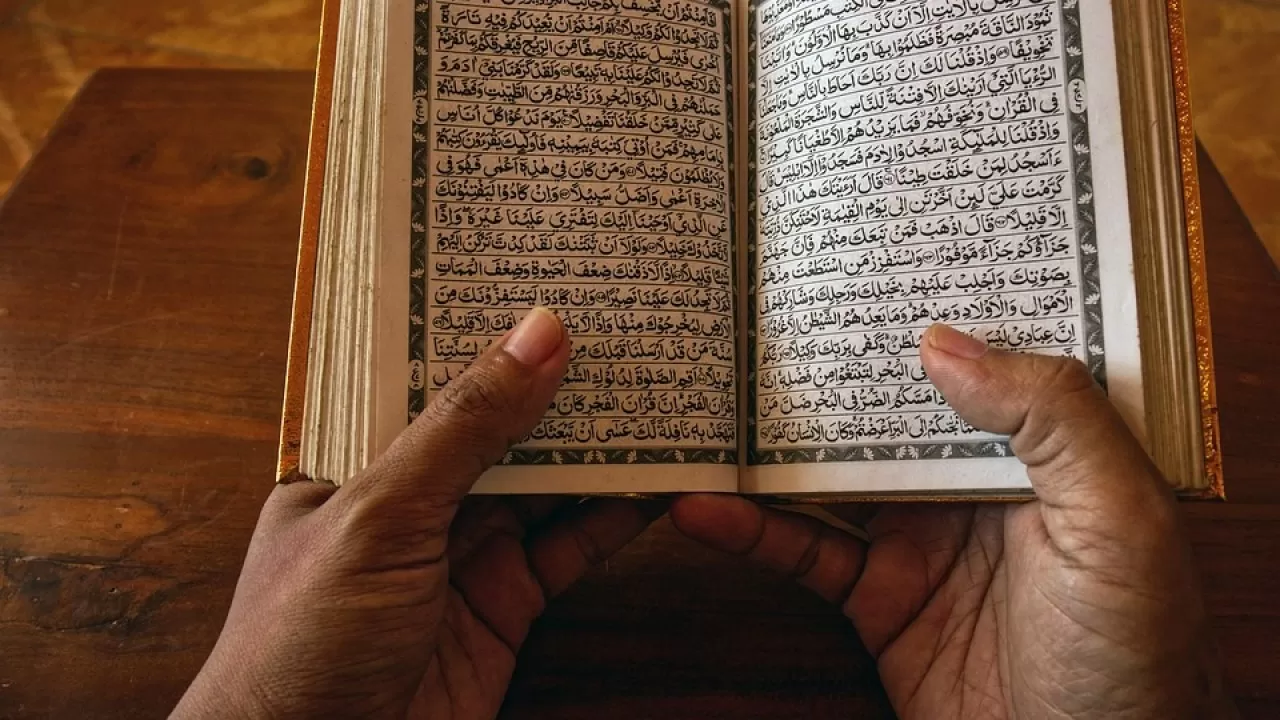 18 декабря &ndash; о мигрантах и арабском языке