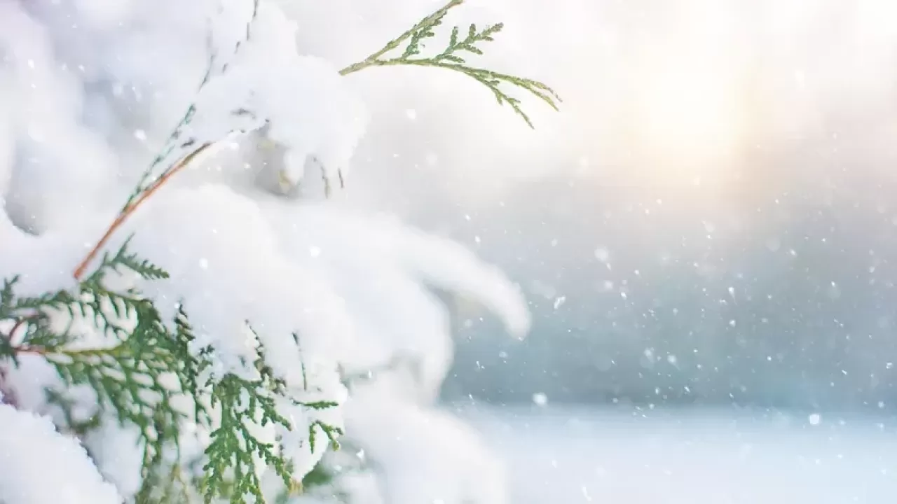 В Астане ожидаются морозы, в Алматы – снег