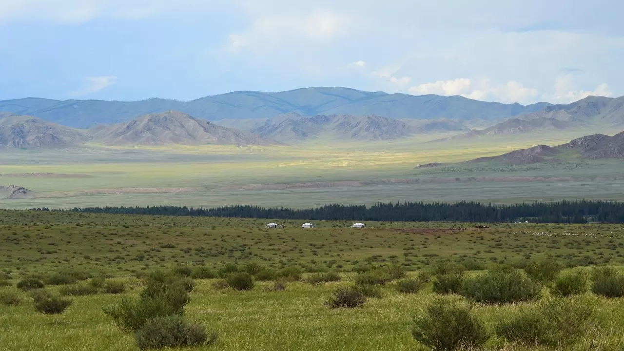 Крестьянское хозяйство не знало, что делать с 200 га сельхозземли в Павлодарской области 