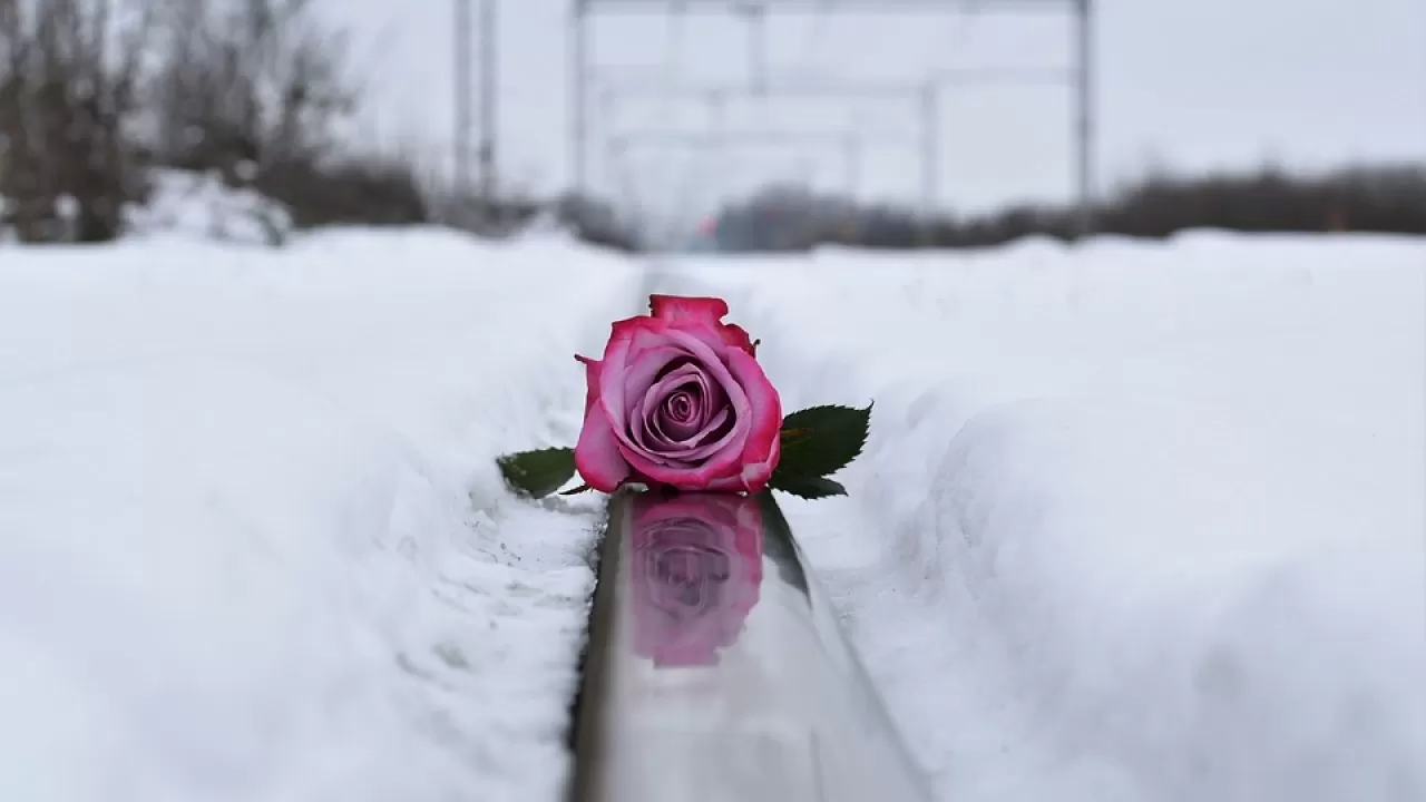 КТЖ расследует гибель рабочих на путях 