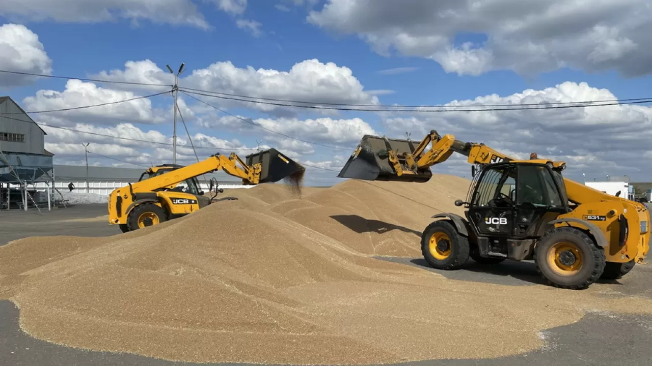 Қытайға 7 мың тонна ұн жіберілді