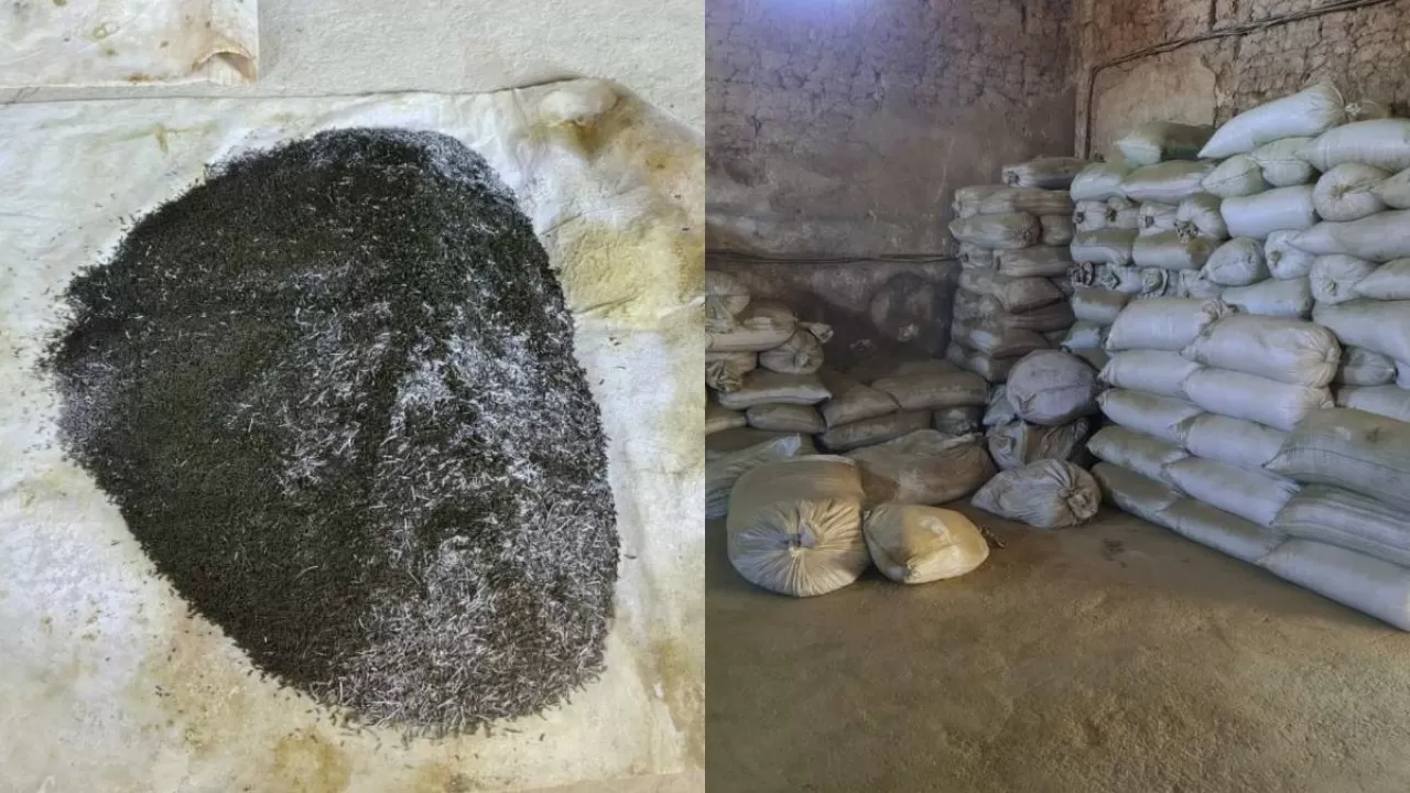 Түркістан облысында цехтан 40 қап насыбай тәркіленді 