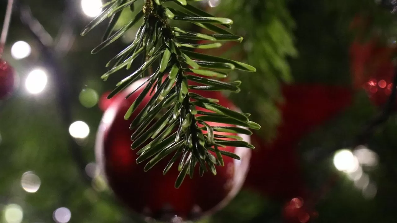 Выходные на Рождество и Новый год отменили в Украине 