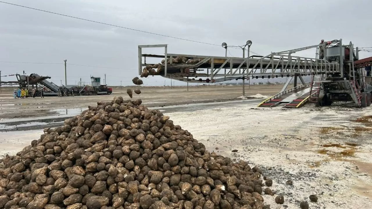 Түркиялық холдинг Қазақстанда 2 қант зауытын салады