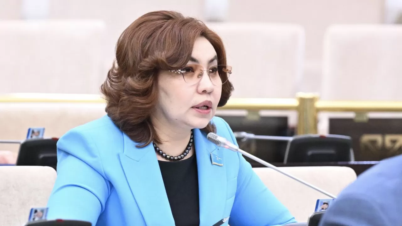 Сенат депутаты елдің азық-түлік қауіпсіздігіндегі ең осал буынды атады