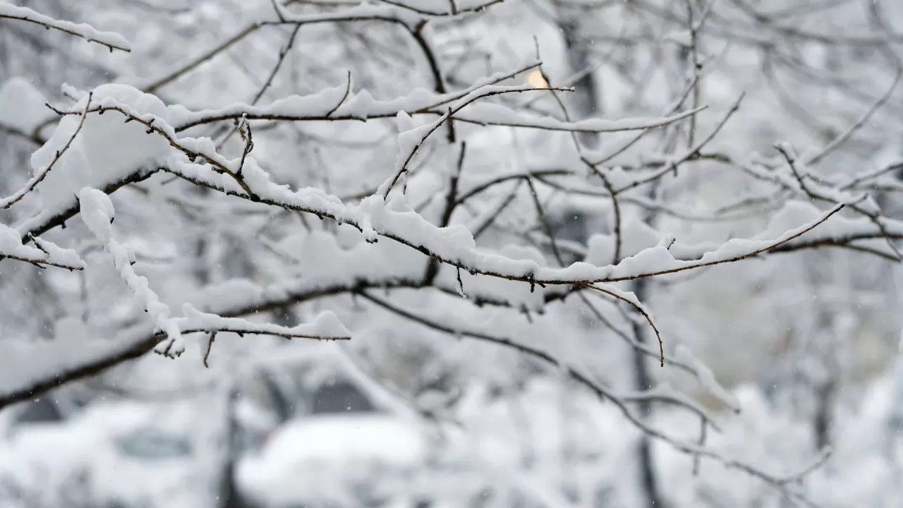 Зима напоминает о себе: в регионах Казахстана ожидаются снег и метель