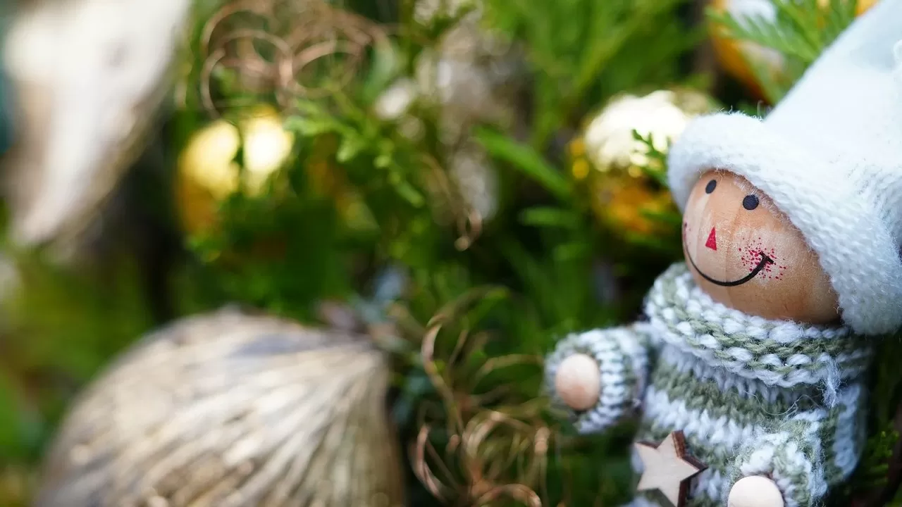 Новогодние каникулы в соседней стране планируют продлить до 12 января 