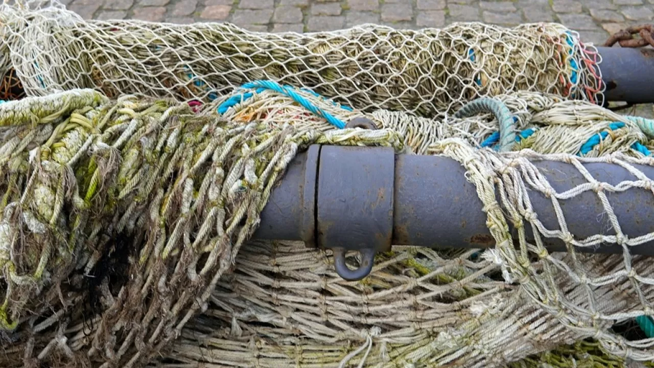 Реальные сроки получили браконьеры за рыбалку в нацпарке Казахстана