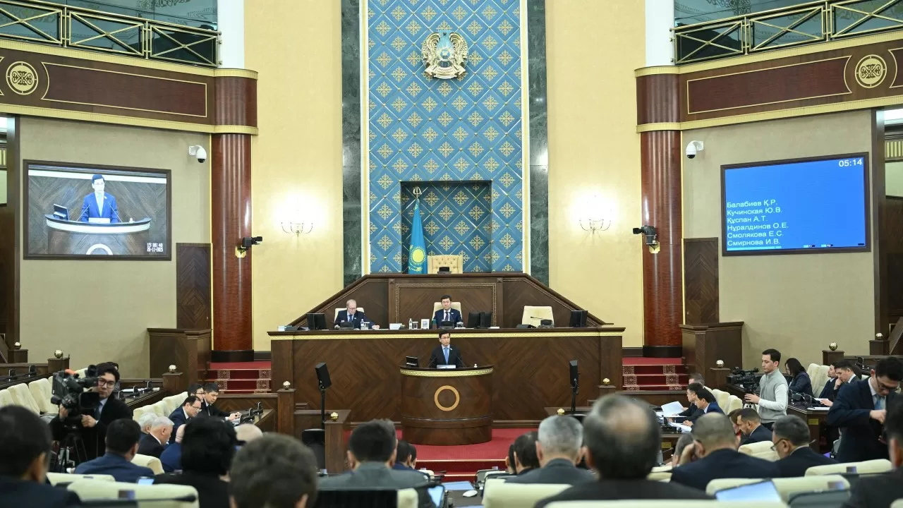 Ерлан Қошанов: Әкімдіктердің бизнесті дамыту міндеті "көмескі" күйінде қалып отыр