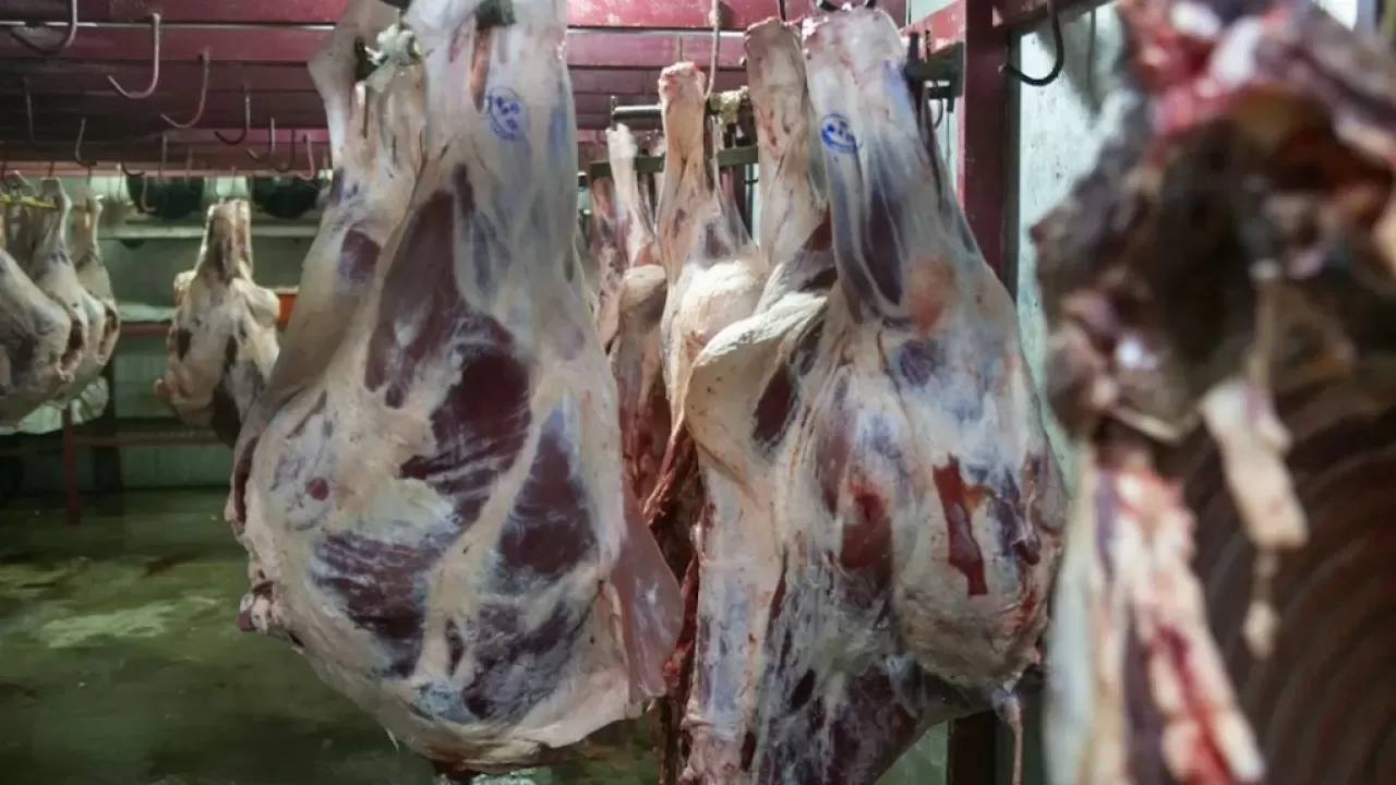 Стабилизируются ли цены на мясо в Казахстане, ответили в правительстве 