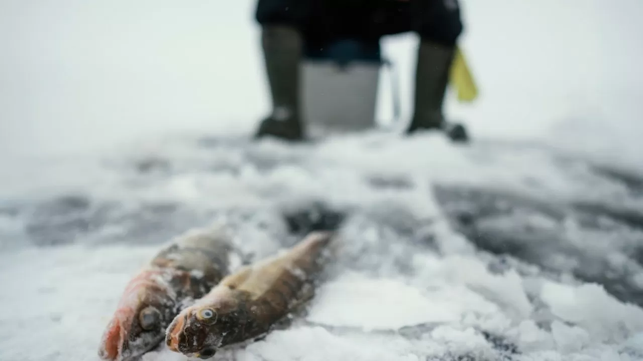 Шестеро рыбаков едва не замерзли в области Улытау