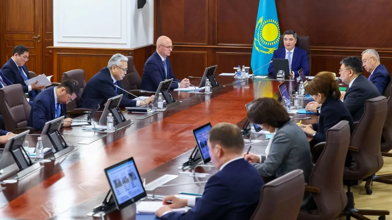 Үкімет басшысы бидай мен жүгеріні терең өңдеуді тапсырды