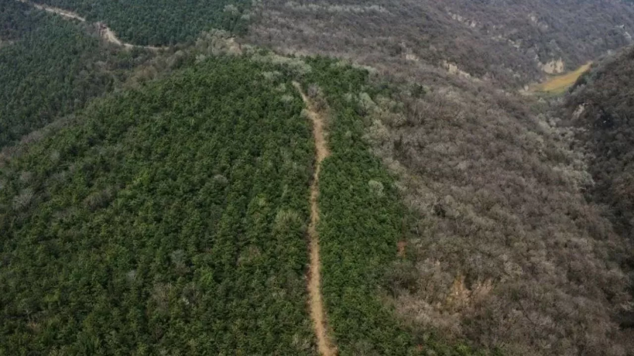 Археологи обнаружили древнюю магистраль империи Цинь 