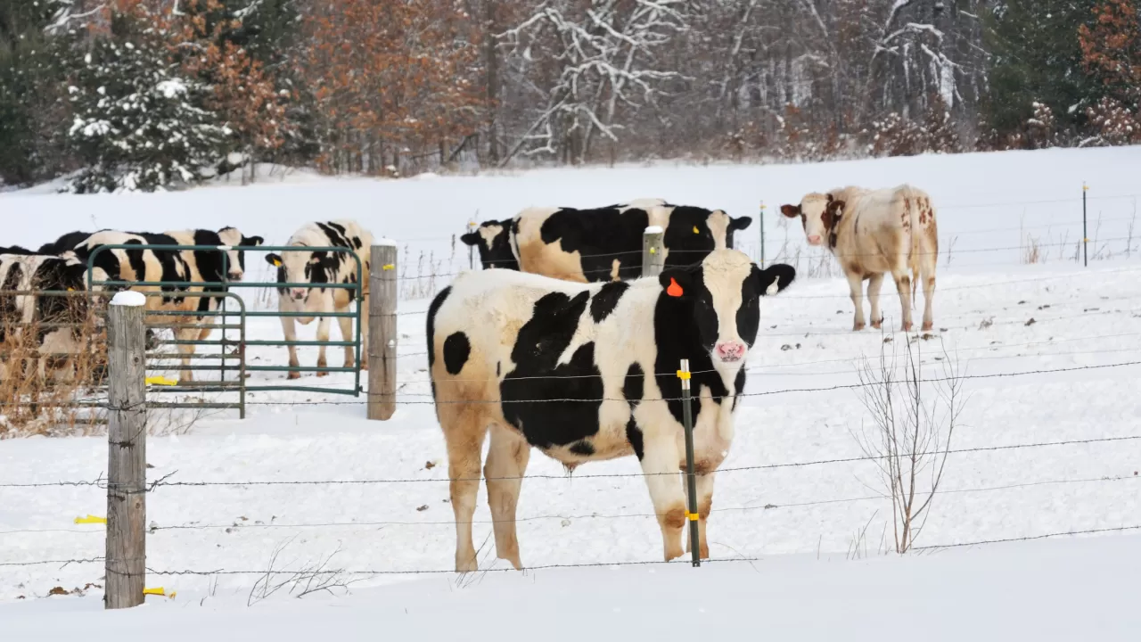 Жаңа жылда мемлекеттен ең көп сыйлық алатын кәсіп иелері анықталды