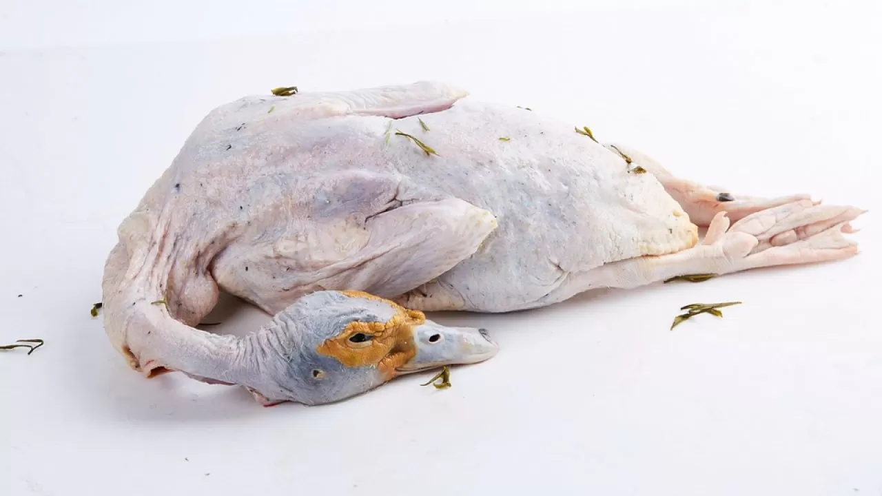 На границе Казахстана пресекли контрабанду мяса и икры 