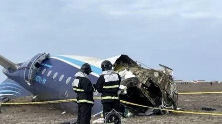 Новое заявление о расследовании авиакатастрофы под Актау сделали в МИД России   