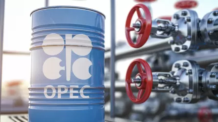 ОПЕК+ елдері желтоқсандағы мұнай өндіру жоспарын қайта қарады