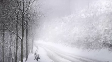 Тұман, көктайғақ: Еліміздің 14 өңірінде күн райы бұзылады