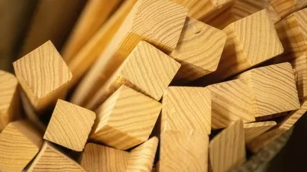 Кыргызстан запрещает экспорт древесины