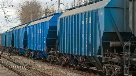 Қазақстанның экспорттық нарығында бидай мен ұн тапшылығы артып келеді