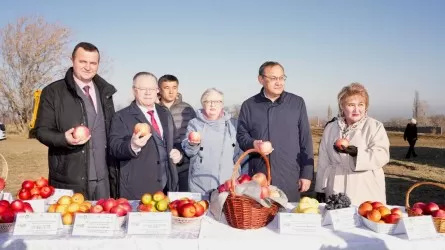 "Мичуринский сад" создали Казахстан и Россия 