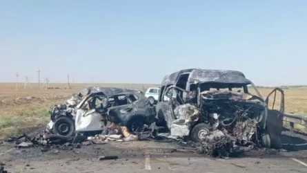 ШҚО-да биыл жол-көлік оқиғаларының саны күрт өсті